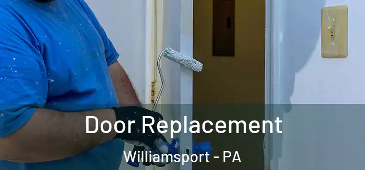 Door Replacement Williamsport - PA