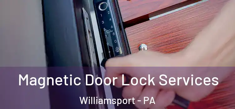 Magnetic Door Lock Services Williamsport - PA