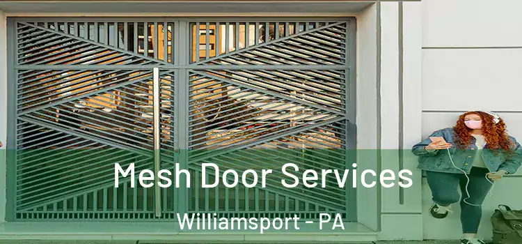 Mesh Door Services Williamsport - PA