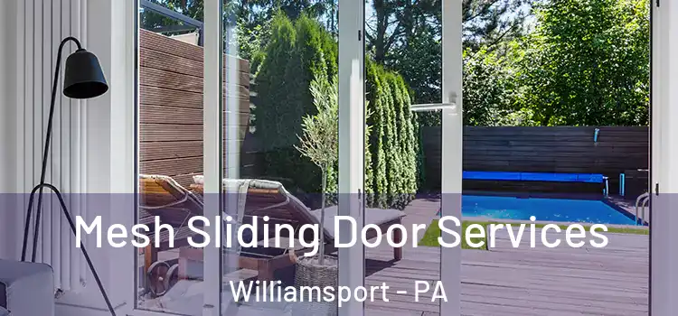 Mesh Sliding Door Services Williamsport - PA