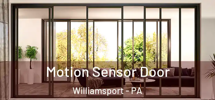 Motion Sensor Door Williamsport - PA